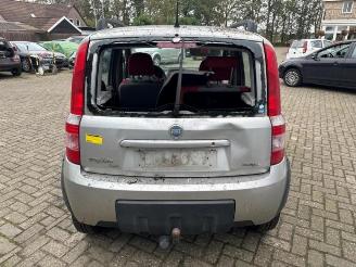 Fiat Panda Panda (169), Hatchback, 2003 / 2013 1.3 JTD 16V Multijet 4x4 picture 6