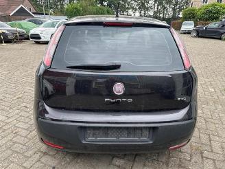 Fiat Punto Punto Evo (199), Hatchback, 2009 / 2012 1.3 JTD Multijet 85 16V Euro 5 picture 6