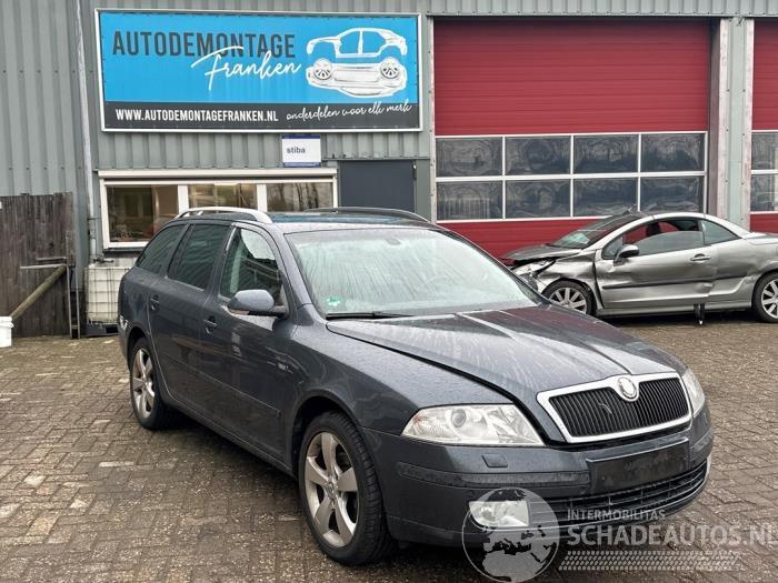 Skoda Octavia Octavia Combi (1Z5), Combi 5-drs, 2004 / 2013 1.9 TDI