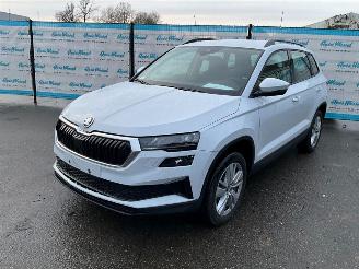 Avarii autoturisme Skoda Karoq  2025/9