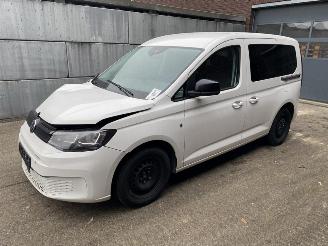Vrakbiler auto Volkswagen Caddy Life 2.0 TDi (90kW) Cool & Sound-pakket 2023/9