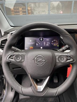 Opel Grandland X 1.2 Turbo (96kW) GS Line | Motor OK | Deutsche Brief picture 16