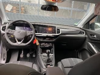 Opel Grandland X 1.2 Turbo (96kW) GS Line | Motor OK | Deutsche Brief picture 15