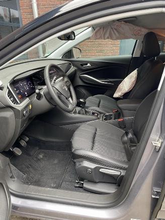 Opel Grandland X 1.2 Turbo (96kW) GS Line | Motor OK | Deutsche Brief picture 9