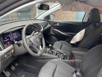 Opel Grandland X 1.2 Turbo (96kW) GS Line picture 14
