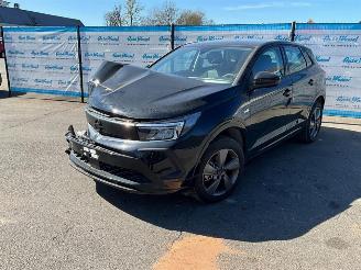 Avarii autoturisme Opel Grandland (X) 1.2 Turbo (96kW) GS 2024/1