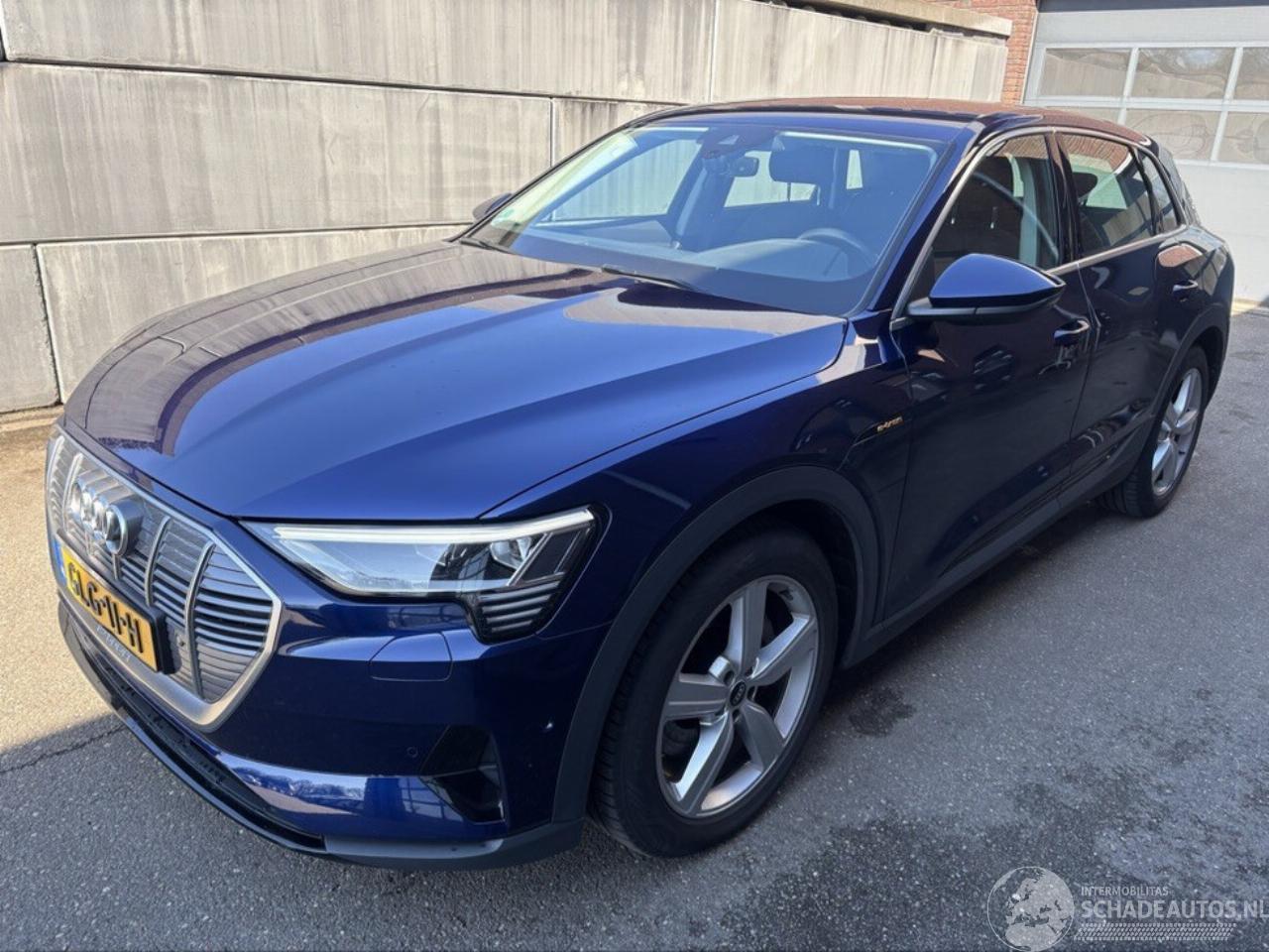 Audi E-tron 50 quattro edition 71 kWh Storing