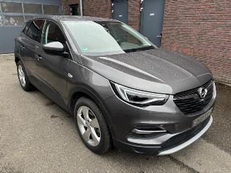 Opel Grandland X Elegance Plug-in-Hybrid 4 picture 2
