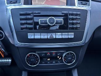 Mercedes M-klasse 250 BlueTEC AMG Panoramadak picture 22