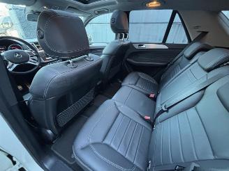 Mercedes ML 250 BlueTEC AMG Panoramadak picture 13