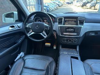 Mercedes M-klasse 250 BlueTEC AMG Panoramadak picture 10
