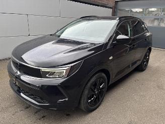 occasione autovettura Opel Grandland X GS Line Plug-in-Hybrid 2023/6