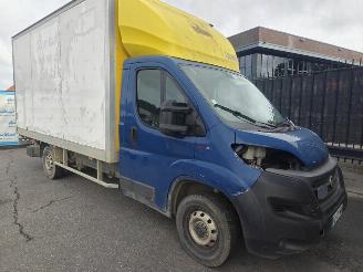 skadebil bedrijf Fiat Ducato 120 MaxiRS: 3000 mm 130 PK Koffer 2021/6