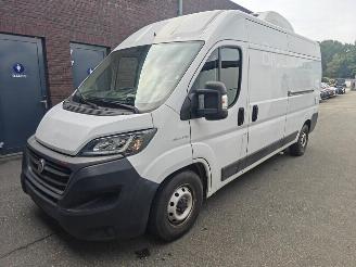 skadebil auto Fiat Ducato 120 L1H1 RS: 3000 mm 2021/6