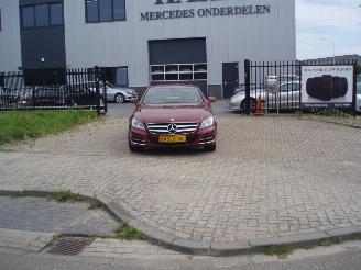 škoda osobní automobily Mercedes CLS CLS 250 CDI 2012/1