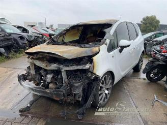 Opel Meriva Meriva, MPV, 2010 / 2017 1.4 Turbo 16V ecoFLEX picture 1