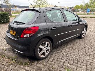 Peugeot 207  picture 4