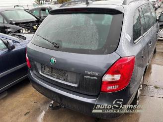 Skoda Fabia Fabia II Combi, Combi 5-drs, 2007 / 2015 1.2 TDI 12V Greenline picture 8