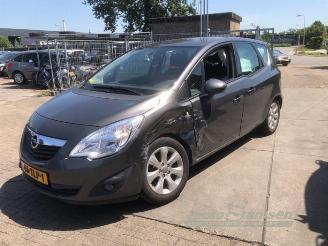 Opel Meriva Meriva (B), MPV, 2010 / 2017 1.4 Turbo 16V ecoFLEX picture 8