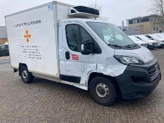 skadebil bedrijf Fiat Ducato 2.3 MJ 103KW AUTOM.  KOELING  TIEFKUHLUNG KLIMA EURO6 2021/1