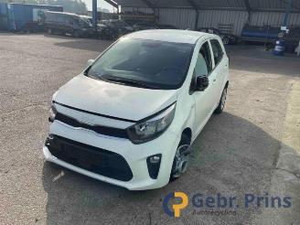 Kia Picanto Picanto (JA), Hatchback, 2017 1.0 DPi 12V picture 3