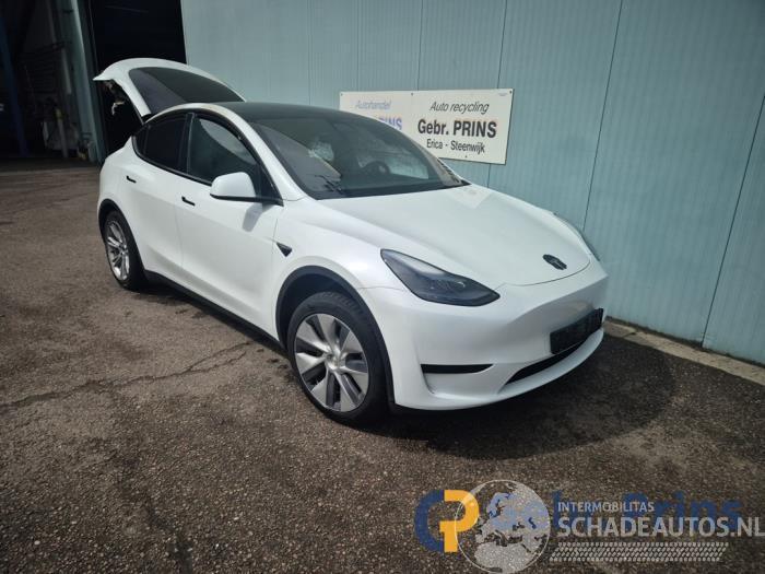 Tesla Model Y Model Y (5YJY), SUV, 2019 / 2025 RWD