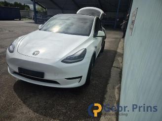 Tesla Model Y Model Y (5YJY), SUV, 2019 / 2025 RWD picture 2