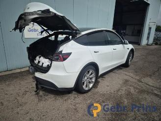 Tesla Model Y Model Y (5YJY), SUV, 2019 / 2025 RWD picture 3