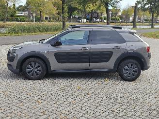 Citroën C4 cactus 1.6 Blue Hdi 100 Hatchback 4Dr Diesel 1.560cc 73kW (99pk) FWD picture 7