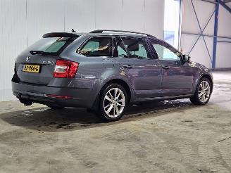 skadebil auto Skoda Octavia 2.0 TDI AUT GreenTec 16V Combi/o 4Dr Diesel 1.968cc 110kW (150pk) 2017/6