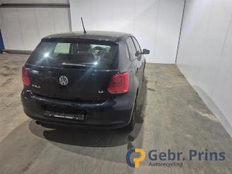 Volkswagen Polo Polo V (6R), Hatchback, 2009 / 2017 1.4 16V picture 4