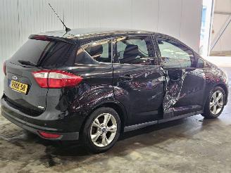 uszkodzony samochody osobowe Ford C-Max 1.0 Ti-VCT EcoBoost 12V 100 MPV  Benzine 998cc 74kW (101pk) FWD 2013/6