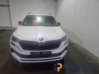 Skoda Karoq Karoq, SUV, 2017 1.5 TSI 16V picture 1