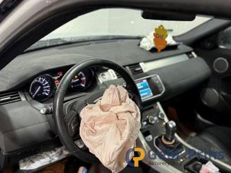 Land Rover Range Rover Evoque  picture 9