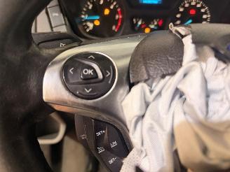 Ford Transit 2.0 TDCi 16V Eco Blue 105 Bestel picture 18