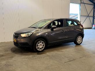 Opel Crossland X 1.2 120 Jaar Edition picture 3