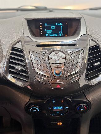 Ford EcoSport 1.0 EcoBoost Titanium picture 12