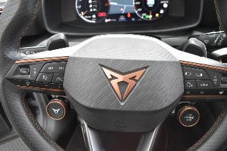 Cupra Formentor 2.0 TSI  4 DRIVE 310 PK  ABT UITV. picture 10