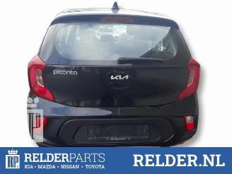 Kia Picanto Picanto (JA), Hatchback, 2017 1.0 DPI 12V picture 5