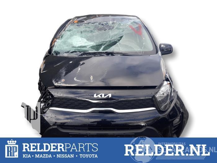 Kia Picanto Picanto (JA), Hatchback, 2017 1.0 DPI 12V