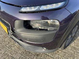 Citroën C4 cactus 1.6 BlueHDi Business picture 17