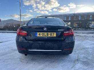 BMW  220i High Executive picture 11