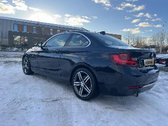 BMW  220i High Executive picture 12