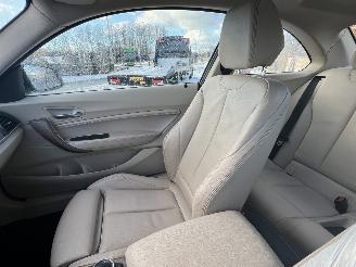 BMW  220i High Executive picture 29