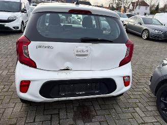 Kia Picanto 1.0 DPi Comfortline  58.432 KM!! picture 7