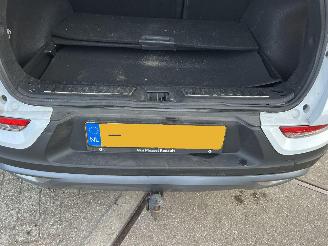 Renault Kadjar 1.3 TCe Black Edition Automaat! picture 19