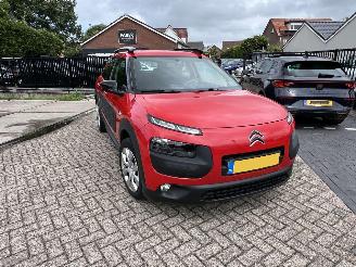 Citroën C4 cactus 1.2 VTi Feel 102.117 KM !!! picture 7