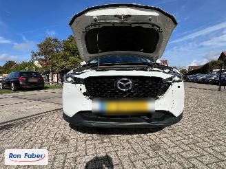 Mazda CX-5 2.0 e-SkyActiv-G M Hybrid 165 Centre-Line picture 11
