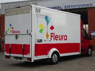 Fiat Ducato 2.3 Multijet 150pk, AL-KO Bloemenwagen met verwarming picture 15