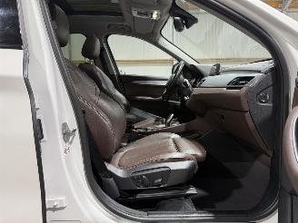 BMW X1 SDRIVE20I 141kW Automaat Orange Edition Pano picture 32